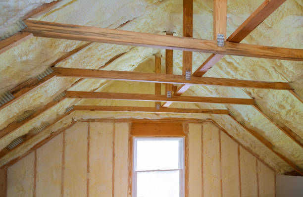 Best Insulation Maintenance and Repair in Beaver Dam, WI