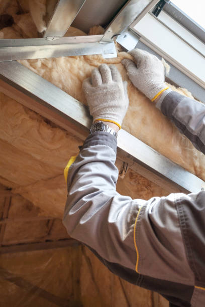 Best Eco-Friendly Insulation in Beaver Dam, WI