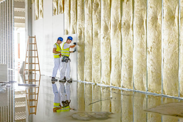 Best Cellulose Insulation in Beaver Dam, WI
